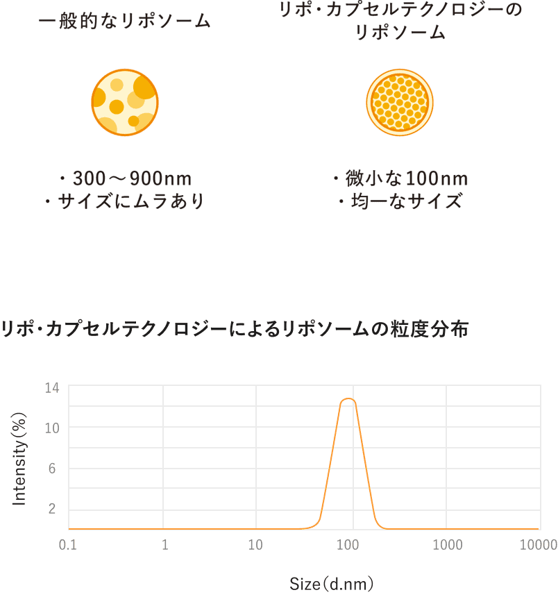 日本高質量脂質體圖像·維生素C的大小和吸收率圖